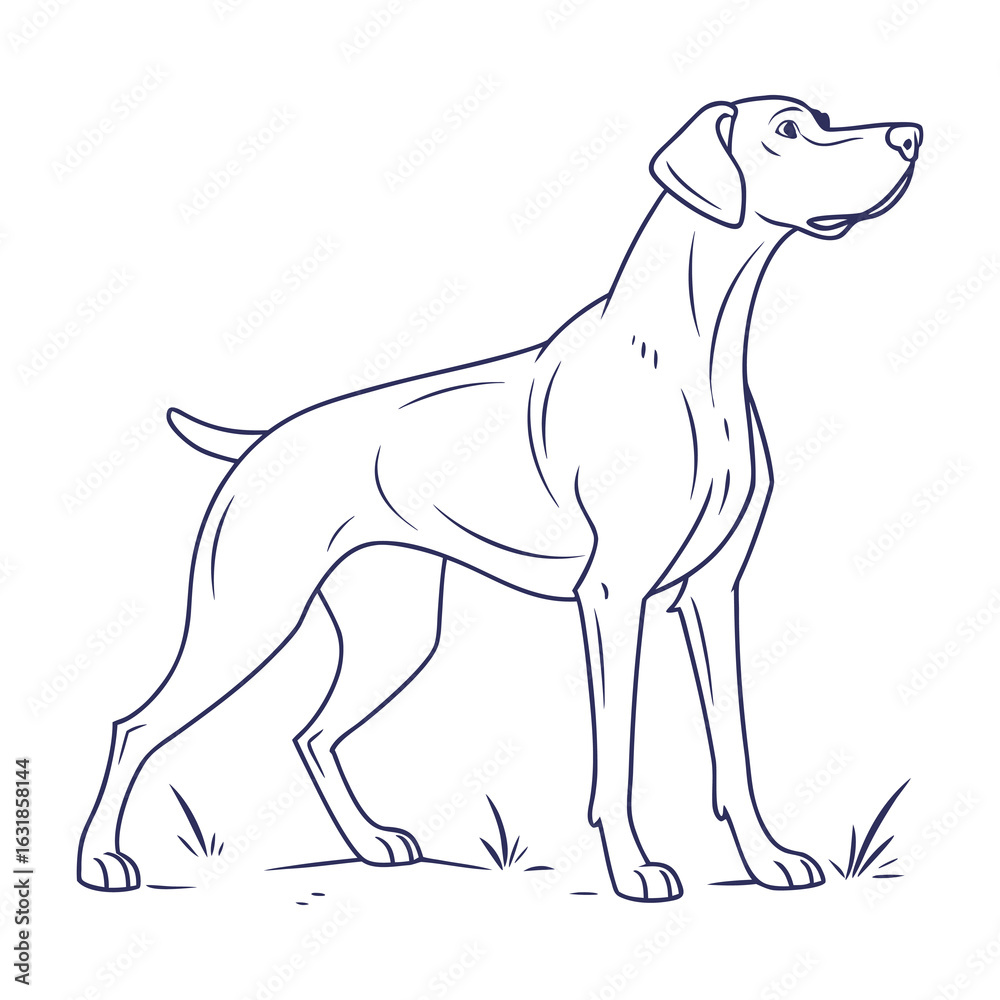 Obraz premium Stylish Line Drawing of Serbian Dog