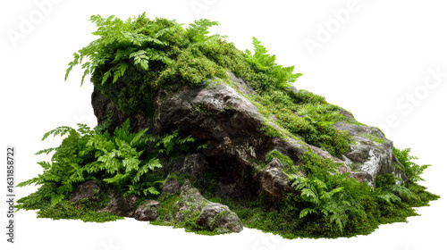 Natural rock formation covered with lush green ferns