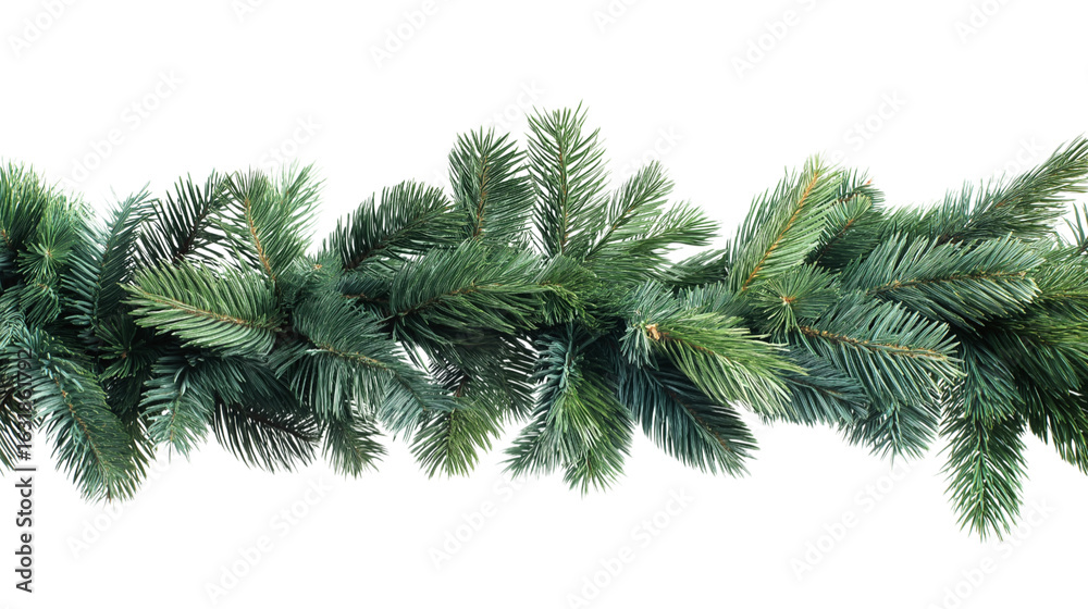 Obraz premium vibrant garland of evergreen branches extends horizontally isolated on white background