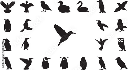 Collection of various bird silhouettes. Vector illustration set of flying and standing birds like owl, penguin, and hummingbird icons.