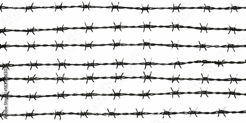 Multiple rows of barbed wire against a white background