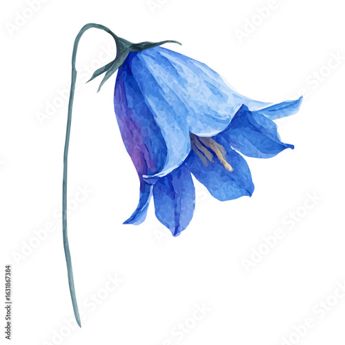 An Elegant watercolor art of a bluebell flower in side view, soft artistic strokes, isolated on a clean white background, vector-based EPS illustration.