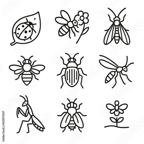 Garden Beneficial Insects Icons. Line style icons of beneficial insects in garden: ladybug on leaf, bumblebee with flower,