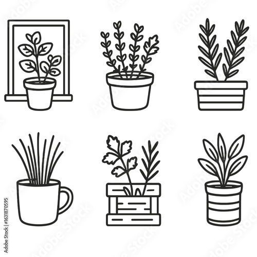 Herb Line Art Icons. Line style icons of potted indoor herbs: mint on windowsill, thyme in ceramic pot, parsley sprig, rosemary in