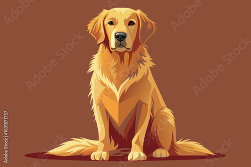 A golden retriever sits gracefully against a brown background in a studio shot