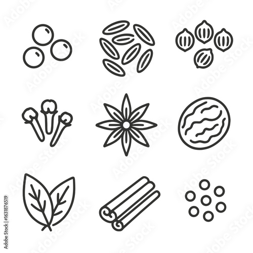 Pantry Spice Icons. Line style icons of pantry spices: black peppercorns, cumin seeds, coriander seeds, cloves, star anise, nutmeg