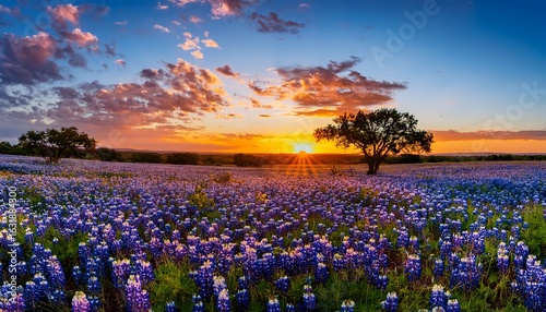 a beautiful landscape painting of a sunset over a field carpeted with vibrant bluebonnets featuring a colorful sky with scattered clouds and distant horizon