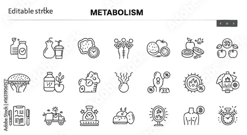 Collection of simple line drawings depicting various aspects of metabolism, including food, drinks, and biological processes.