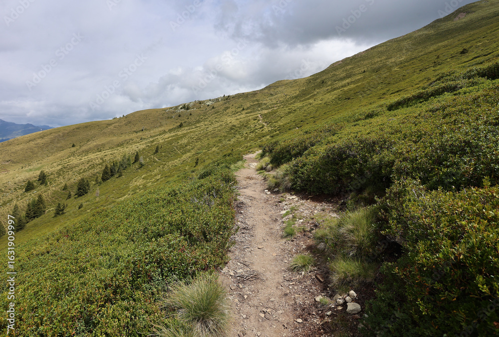 Naklejka premium Landschaft