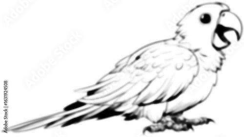 Halftone style parrot illustration with open beak and intricate details
