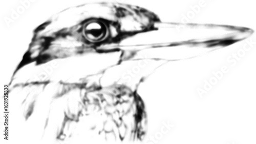 Halftone close-up of bird with detailed beak and eye in monochrome style