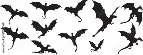 Flying dragon silhouette