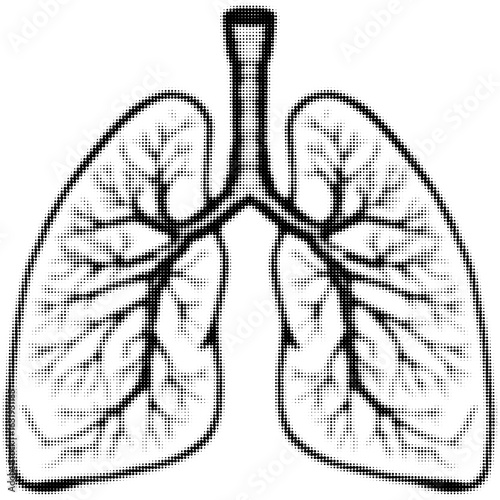 Illustration of human lungs with detailed bronchi in black and white pattern