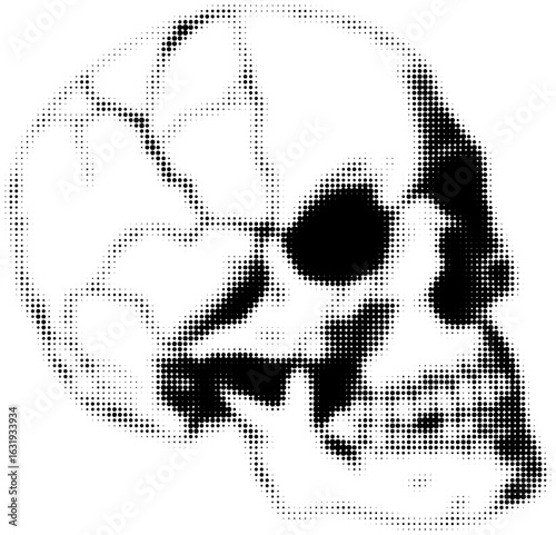 Halftone skull illustration in black and white, conceptual art piece
