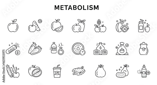 Line icons illustrating various foods and supplements related to metabolism.