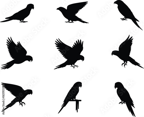 Parrot silhouettes collection, flying and perched poses, tropical bird vector set, exotic avian shapes, wildlife clipart, black animal icons