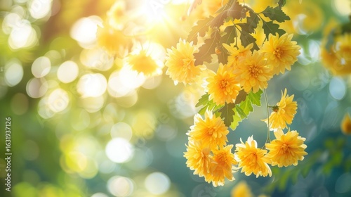 Wallpaper Mural Radiant golden blooms cascading in sunlight creating a captivating floral display Torontodigital.ca
