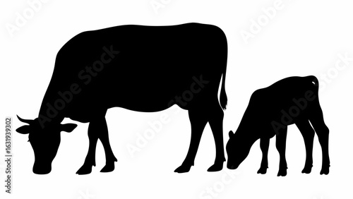 Silhouette of a cow and calf grazing peacefully in a field against a plain white background scene shown