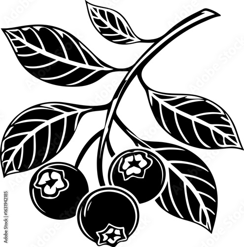 Botanical Blueberry Fruit Branch Icon