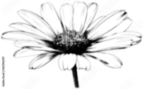 Black and white halftone illustration of a daisy flower with detailed petals