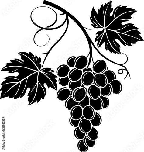 Elegant grapevine silhouette with leaves