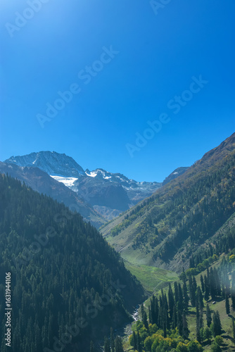 Scenic Himalayan landscape with a glacier and flowing mountain streams along the Baltal route during the annual Amarnath Yatra in Jammu and Kashmir, India.