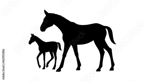 Silhouette of a mare and foal standing together in a field on a bright sunny day in the country side
