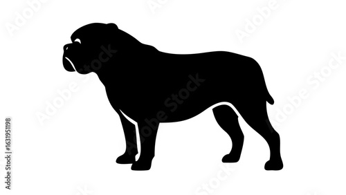 Silhouette of a bulldog standing in profile with its short tail visible against a white background