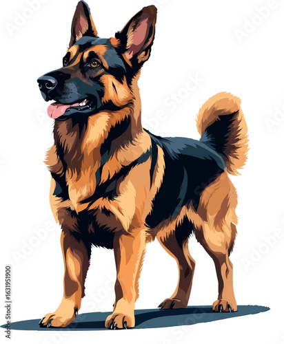Isometric vector german shepherd standing alert with upright ears and proud stance, vector-friendly, isolated on white