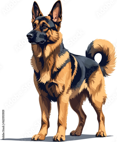 Isometric vector german shepherd standing alert with upright ears and proud stance, vector-friendly, isolated on white