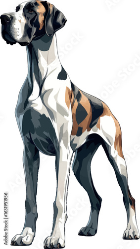 Isometric vector great dane towering in standing pose, elegant and tall, vector-friendly, isolated on white