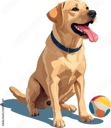 Isometric vector labrador retriever playing with ball, tongue out, cheerful posture, vector-friendly, isolated on white