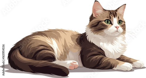 Isometric vector ragdoll cat lying with relaxed posture and soft bicolor fur, vector-friendly, isolated on white