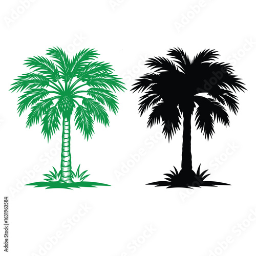 palm tree silhouette