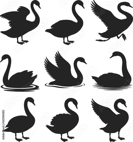 Swan silhouette grid, black bird poses, flying swimming standing swans, elegant waterfowl design, wing spread variations, animal vector artwork