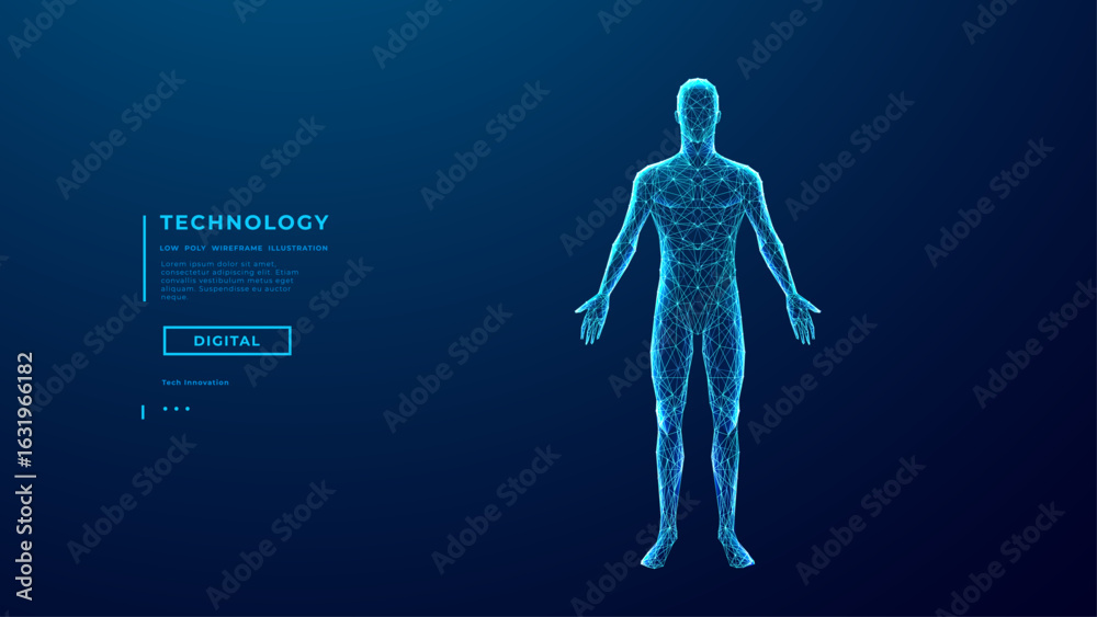 custom made wallpaper toronto digitalAbstract human body. Wireframe polygonal man silhouette on technology blue background. 3D human figure made of thin lines and connected dots. Medical and Anatomy concept. Digital vector illustration.
