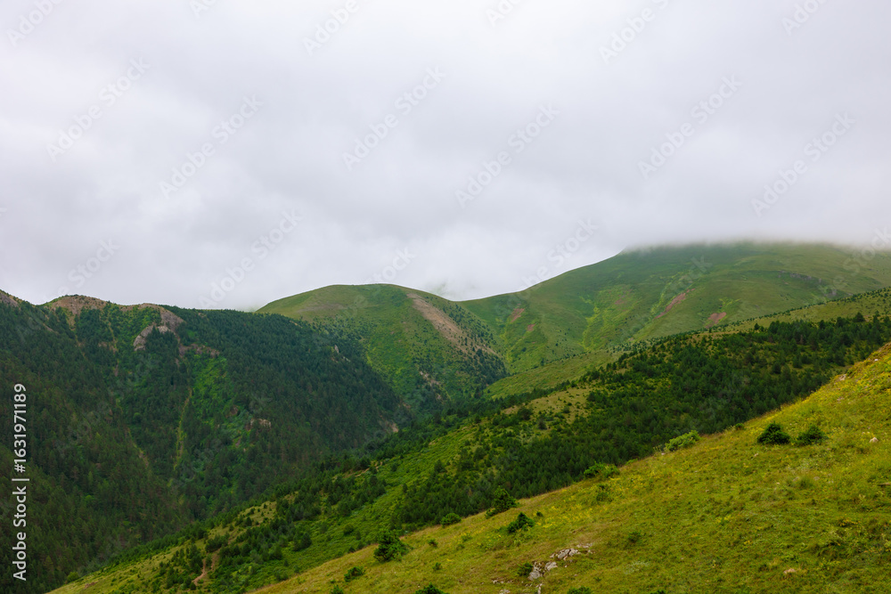 Fototapeta premium Landscape of the mountains with forest and overcast sky