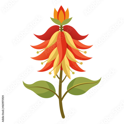 mina- lobata flower silhouette on white background