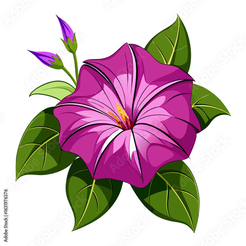  vector mirabilis decipiens flower on white