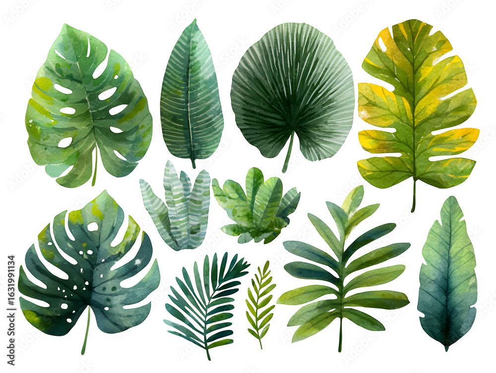 Fototapeta premium Vibrant watercolor tropical leaves collection evoking lush nature and exotic botanical beauty for design projects