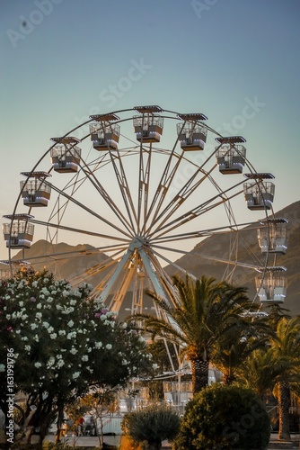 Wallpaper Mural Ferris wheel at sunset with palm trees and blooming flowers Torontodigital.ca