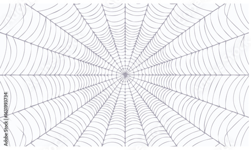 spider web on a leaf