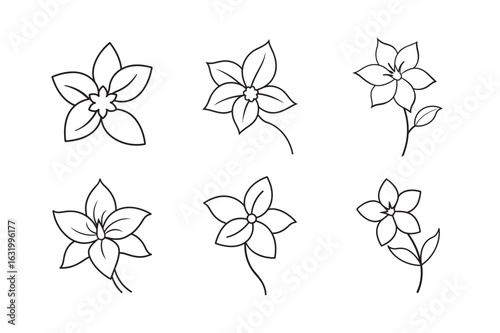 line art jasmine flower with pointed petals set bundle on the white background