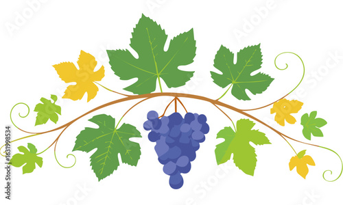 bunch of grapes