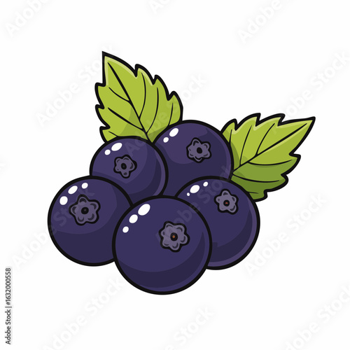 Illustration of Fresh Blueberries with Green Leaves on a White Background Drawing