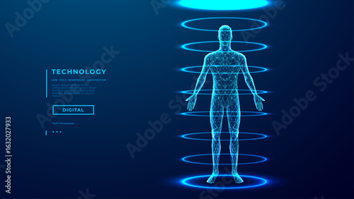 Abstract human body scan. AI doctor concept. Hologram 3D model of a man. Medical, health, and Anatomy. Digital male silhouette with neon light circles. Low poly wireframe tech vector illustration.