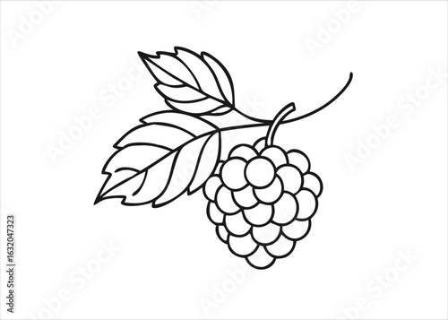 A detailed hand drawn sketch of a delicate raspberry colored undergarment with intricate lace details isolated on white background