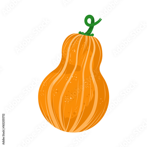 Orange pumpkin -  vector illustration