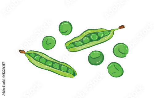 Fresh raw green peas beans