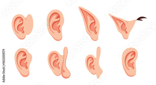 Diverse ear shapes and styles, from human to fantasy, perfect for design